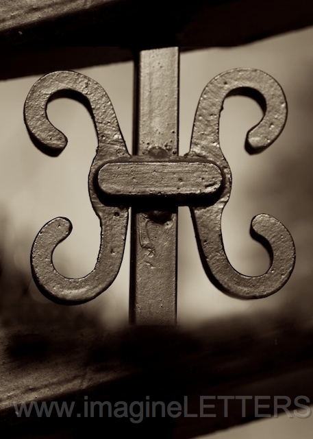 Wall_Art_Alphabet_Photography_Art_ 754.jpg